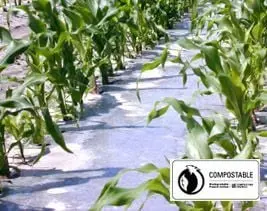 Bio360 Clear Mulch Film